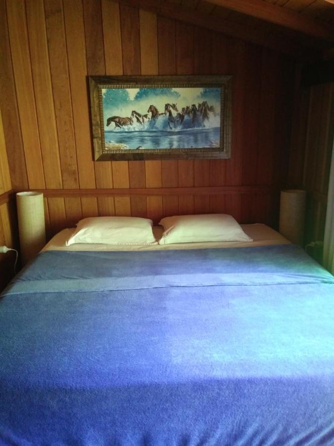 Casa Da Floresta Guest house